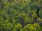 USA-Utah-east of Logan on highway 89 and Aspen Grove still green Art Print